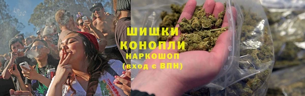 амф Арсеньев