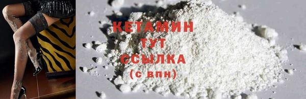 амф Арсеньев