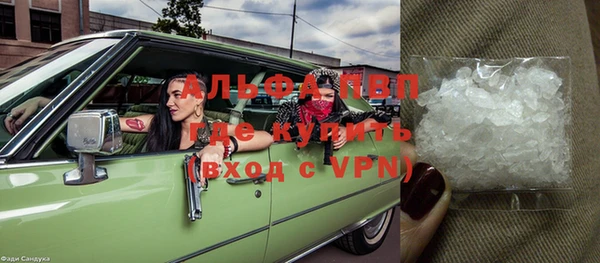 амф Арсеньев
