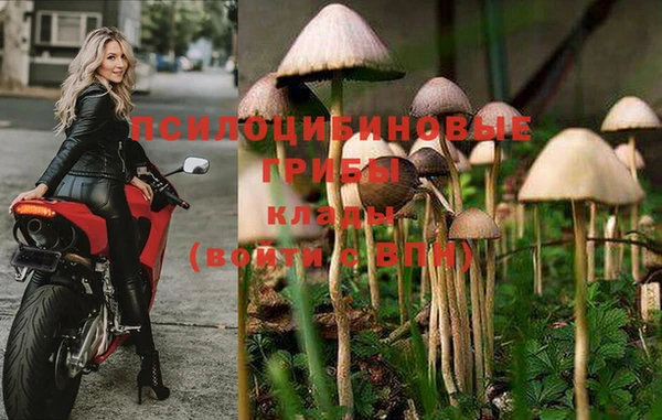 амф Арсеньев
