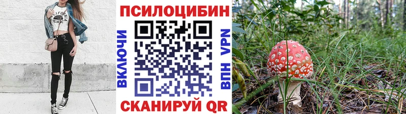 Псилоцибиновые грибы Psilocybine cubensis Малоархангельск
