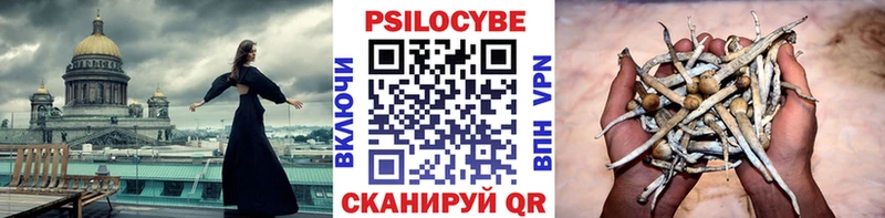 купить закладку  Малоархангельск  Псилоцибиновые грибы Psilocybe 